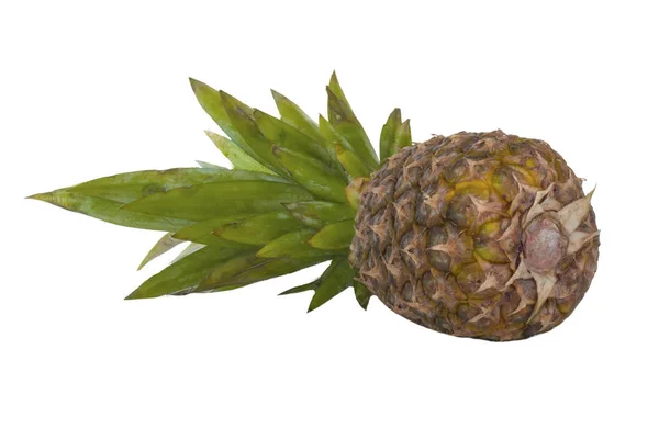 Closeup Pineapple Isolated White Background — Stock Photo, Image