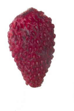 Beyaz üzerinde izole vahşi çilek closeup 