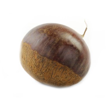 kestane rengi beyaz arkaplanda izole