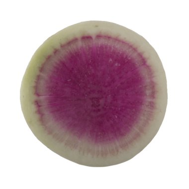 Beyaz arka planda izole raphanus closeup 