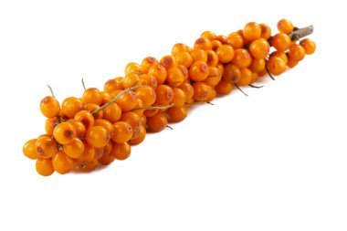 Beyaz arka plan üzerinde izole olgun sandthorn çilek