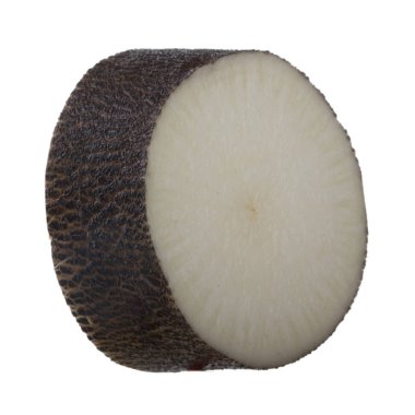 Beyaz arka planda izole raphanus closeup 