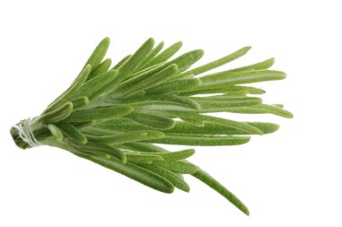 Beyaz arka planda izole biberiye closeup