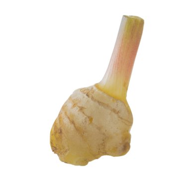 Beyaz arkaplanda zencefil kökü izole edildi