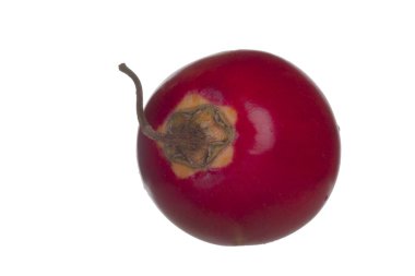 Beyaz arka plan üzerinde izole taze tamarillo