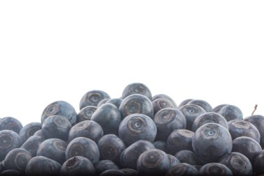 Beyaz arka planda izole yaban mersini yakın çekim 