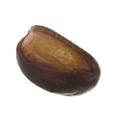 Beyaz arka plan üzerinde izole tek sedir somun