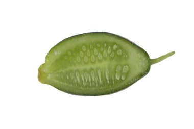 Salatalık beyaz arka plan üzerinde izole parçası