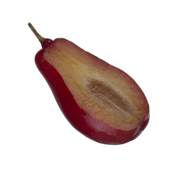 Cornel dut üzerinde izole beyaz arka plan