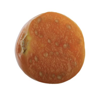 taze physalis beyaz arka plan üzerinde izole