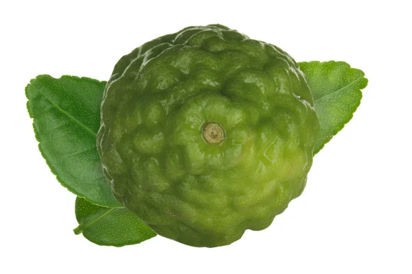 Zbliżenie Kaffir Strzał Zielonych Owoców Cytrusowych — Zdjęcie stockowe