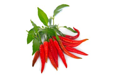 Acı biber beyaz arka plan üzerinde izole