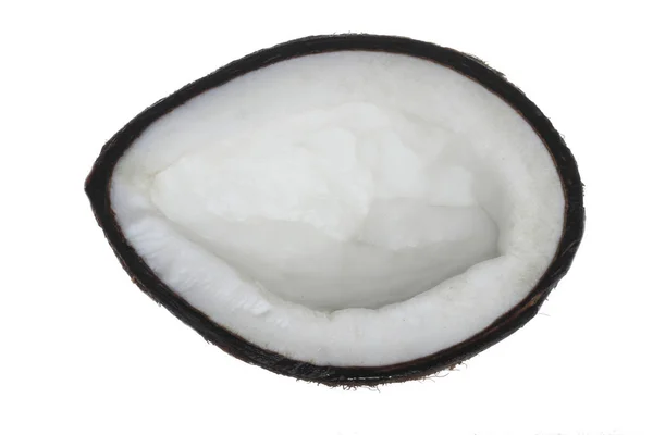 Piece Fresh Coconut Isolated White Background — Stock Photo, Image