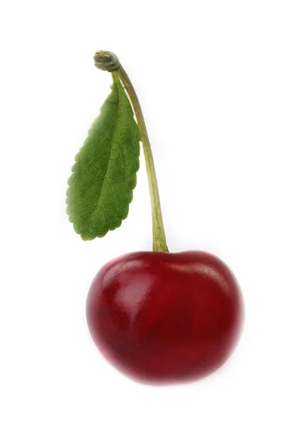 Closeup Cherry Isolated Bílém Pozadí — Stock fotografie