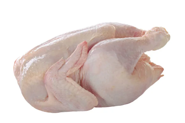 Beyaz arkaplanda çiğ tavuk izole