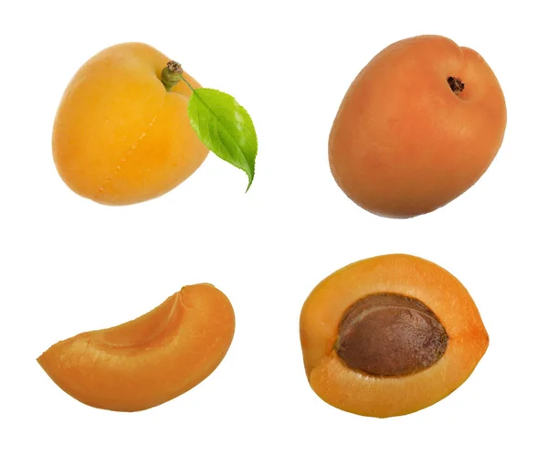 Heap Ripe Apricots Isolated White Background — Stock Photo, Image