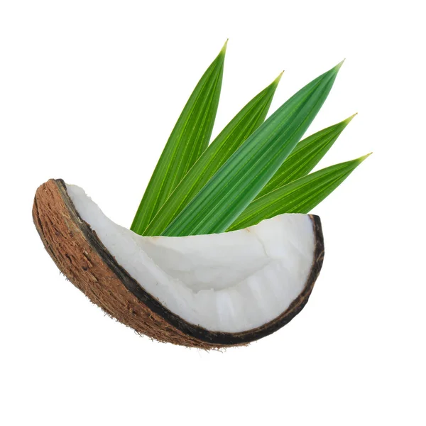 Kokosový Kus Listy Izolované Bílém Pozadí — Stock fotografie