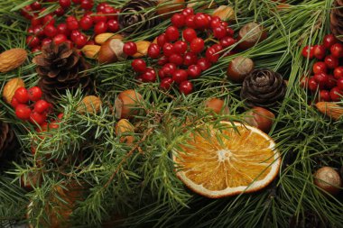 Çam dalları, meyve ve baharat yapılmış Advent kompozisyon.