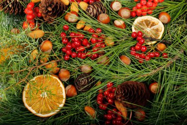 Çam dalları, meyve ve baharat yapılmış Advent kompozisyon.