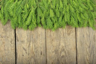 Sınır ahşap arka plan köknar dalı yapılmış