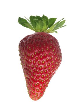 Beyaz arka plan üzerinde izole olgun ham çilek