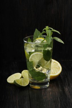 Lezzetli mohito için malzemelerin Closeup görünümü