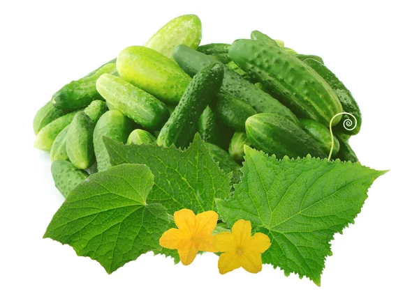 Closeup Cucumbers Food Background — Stock Photo, Image