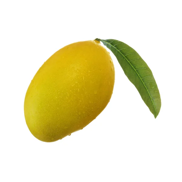 Fruta Fresca Mango Crudo Aislada Sobre Fondo Blanco —  Fotos de Stock