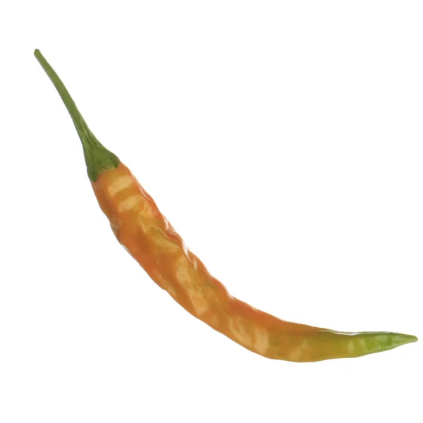 Cayenne Chili Pepper Isolated White Background — Stock Photo, Image