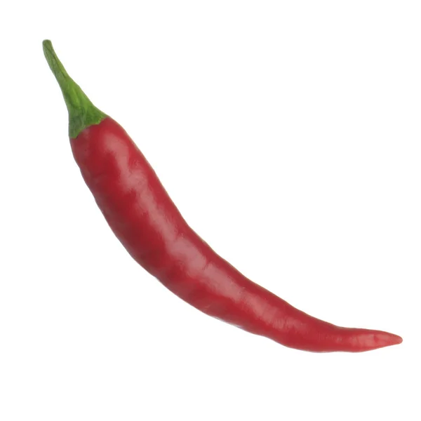 Chilli Paprika Izolovaných Bílém Pozadí — Stock fotografie