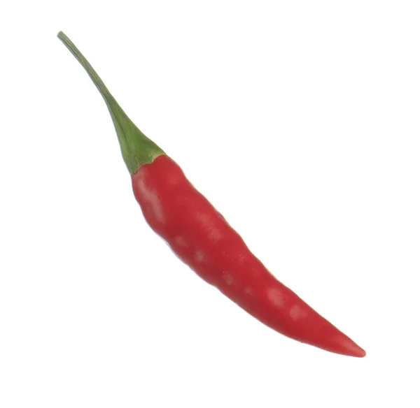 Piment Cayenne Isolé Sur Fond Blanc — Photo