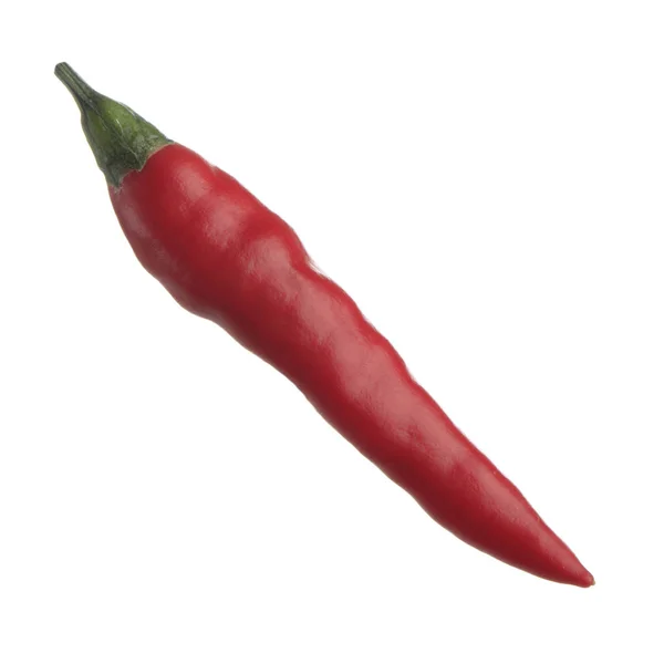 Papryka Chili Białym Tle — Zdjęcie stockowe