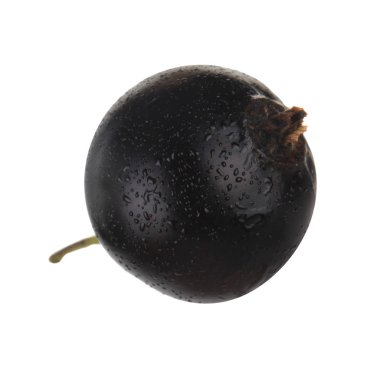 kuş üzümü berry yakın