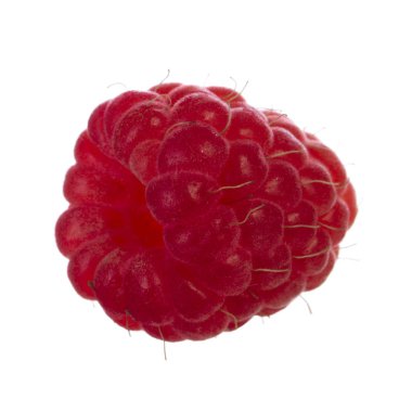 Olgun ahududu yakın çekim 