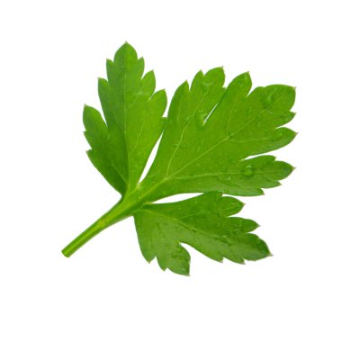 arka planda aromatik bitki, yakın