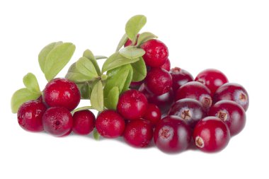 olgun kızılcık yakın 