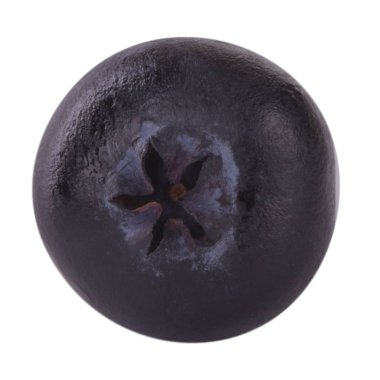 Olgun yaban mersinleri. Kapatın. 