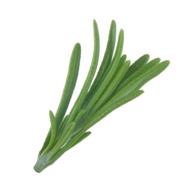 arka planda aromatik bitki, yakın