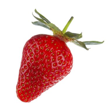 yabani çilek yakın çekim 