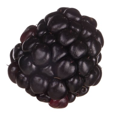 olgun tatlı böğürtlen beyaz arka plan izole, yakın çekim 