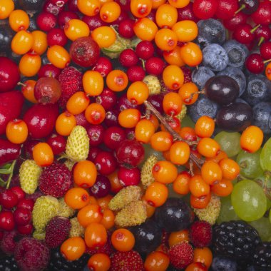 arka planda lezzetli meyveleri, yakın