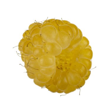 Olgun ahududu yakın çekim 