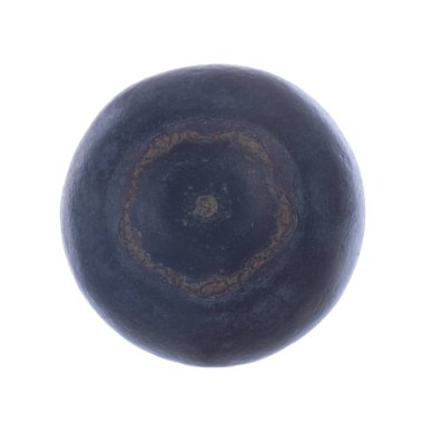 Olgun yaban mersinleri. Kapatın. 