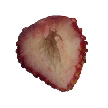 yabani çilek yakın çekim 