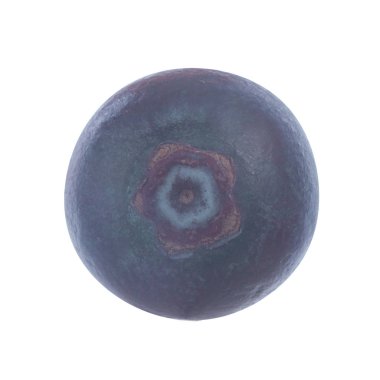 Olgun yaban mersinleri. Kapatın. 