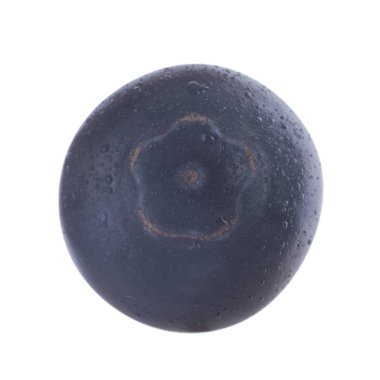 Olgun yaban mersinleri. Kapatın. 