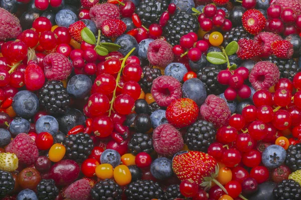 Delicious Berries Background Close — Stock Photo, Image
