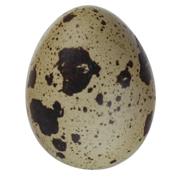 yumurta yakın çekim 