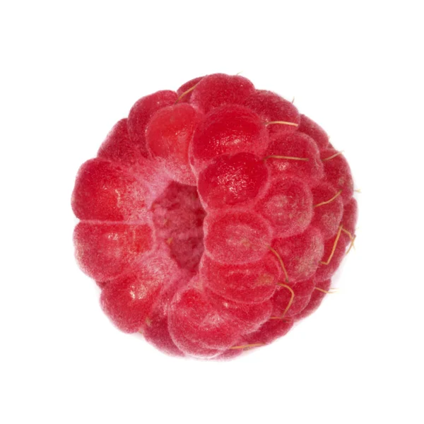 Olgun ahududu yakın çekim 