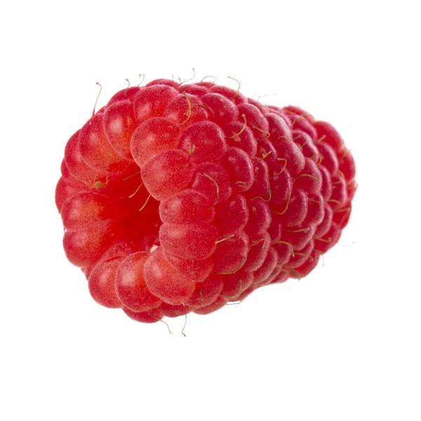 Ripe Raspberry Close — Stock Photo, Image